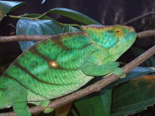 P7050112 [1600x1200].jpg