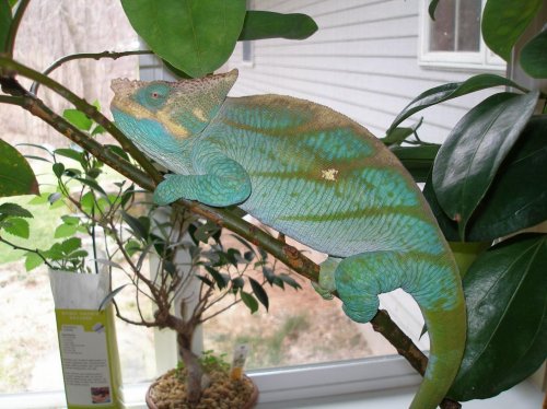 P3190186 [1600x1200].jpg