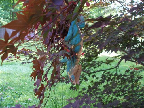 P5270044 [1600x1200].jpg