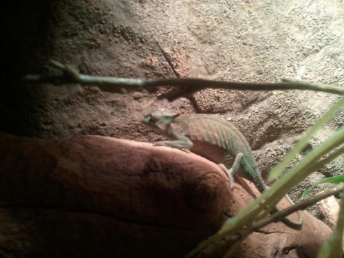 2011-12-03 19.36.05.jpg