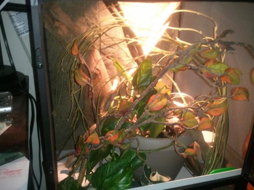 2011-12-03 19.33.09.jpg