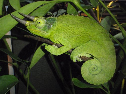 OLYMPUS DIGITAL CAMERA_12.jpg