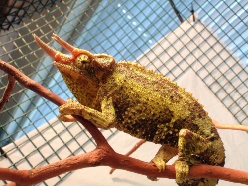 OLYMPUS DIGITAL CAMERA_109.jpg