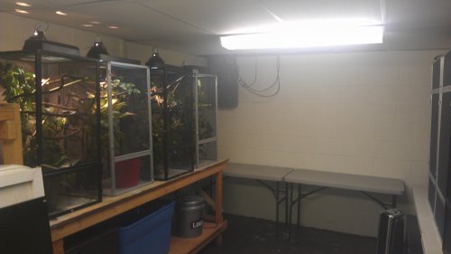 IMAG0434.jpg