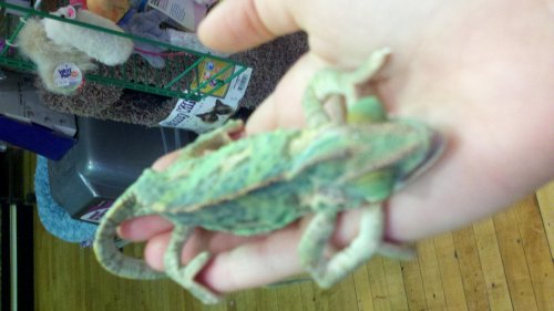 2011-12-01_15-16-15_71.jpg