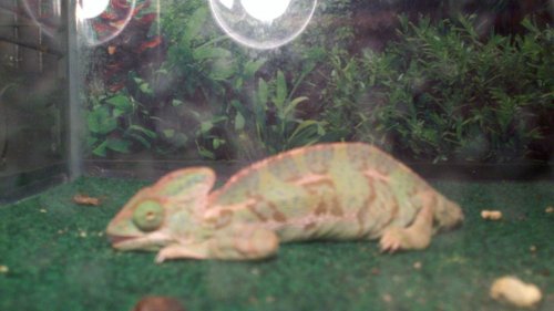 2011-12-02_15-37-44_670.jpg