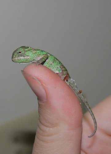 first baby.jpg
