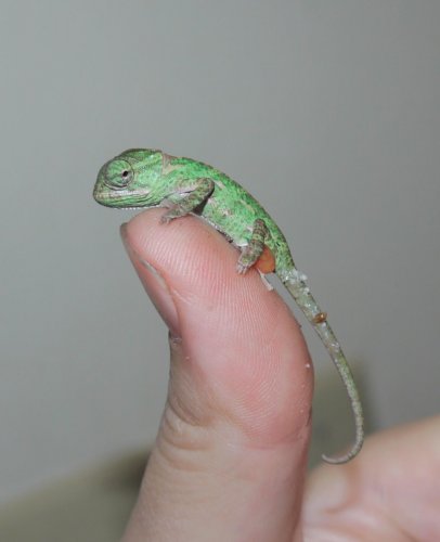 first baby 2.jpg