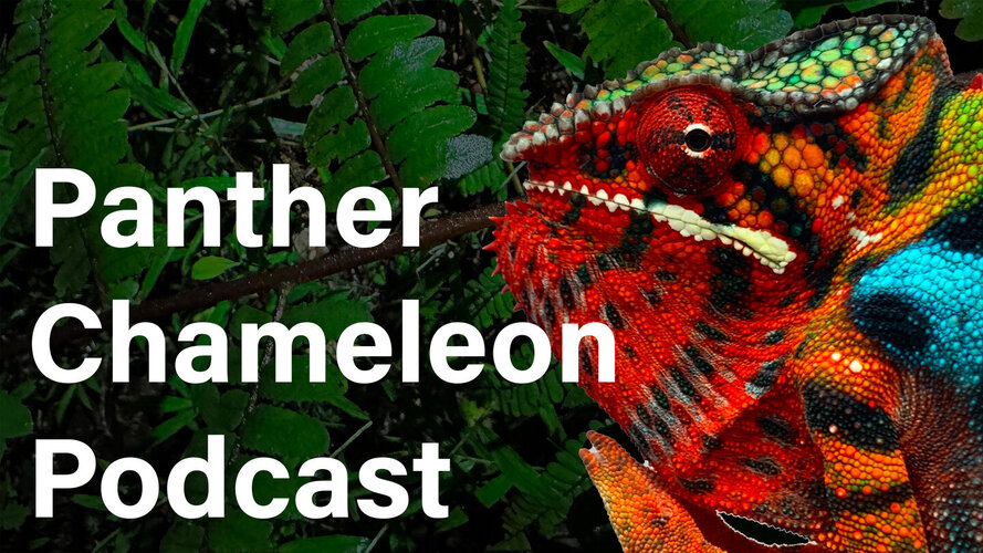 Panther Chameleon Podcast Artwork 1920.jpg