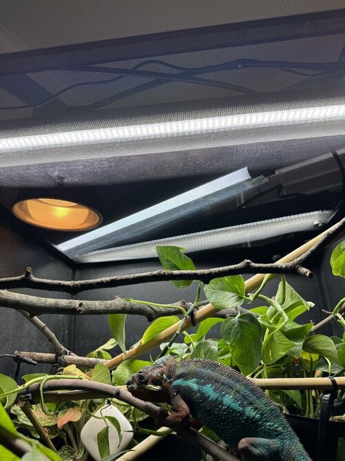 IMG_6608 Large 2.jpeg