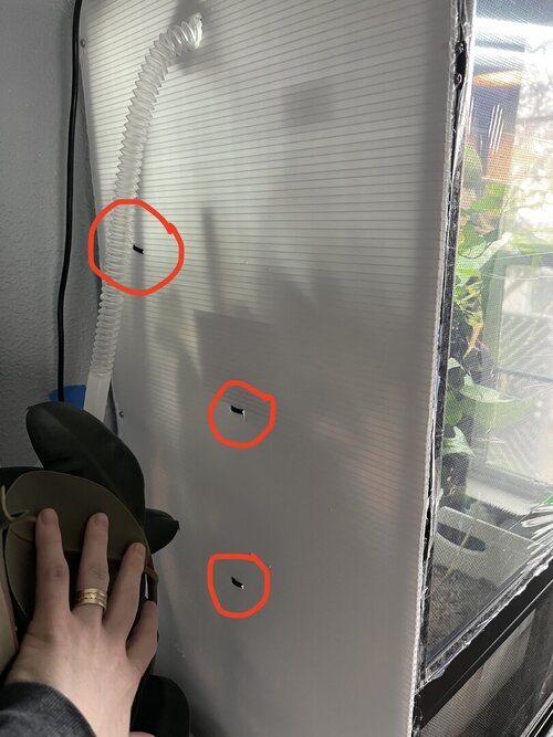 Corrugated Plastic:Plants:Branches.jpg