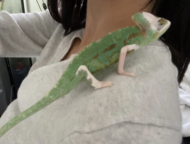 Screenshot 2024-01-23 at 11.18.30 AM.png