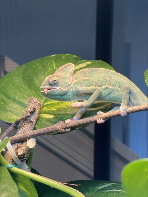 IMG_7757.jpeg