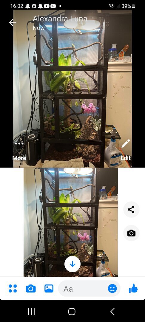 Screenshot_20240229_160221_One UI Home.jpg