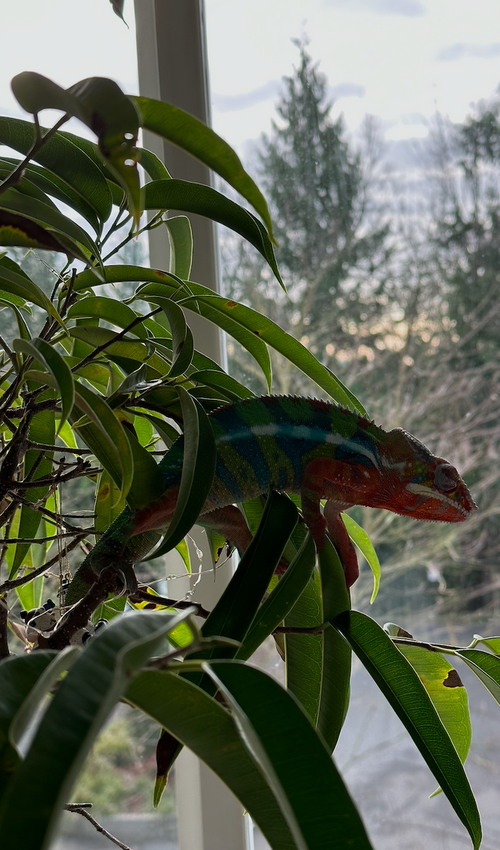 Screenshot 2024-03-02 at 11.31.56 PM.png