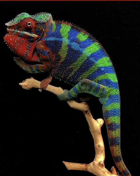 Screenshot 2024-03-28 175340.png