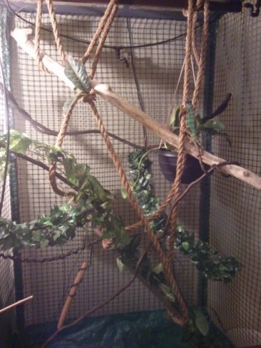 2011-12-06 04.38.25.jpg