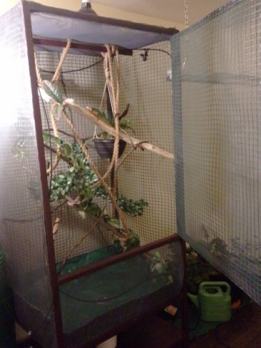 2011-12-06 04.38.57.jpg