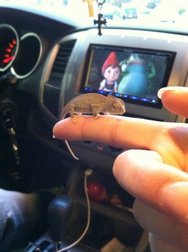 photo (5).jpg