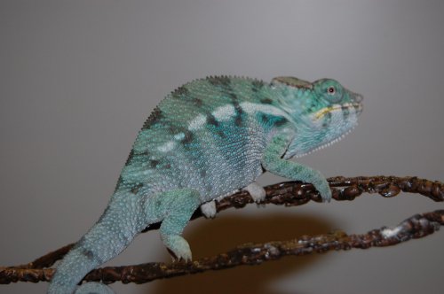 more babies! 005.jpg