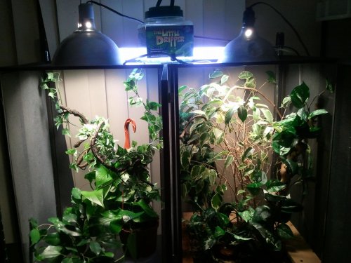 2011-12-14 23.09.01.jpg