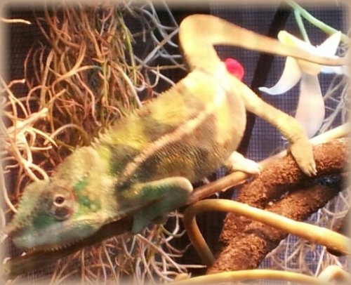 2011-12-15 09.28.06-picsay.jpg