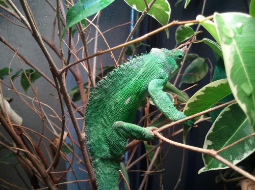 2011-12-15 15.18.47.jpg