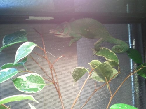 2011-12-15 14.00.24.jpg