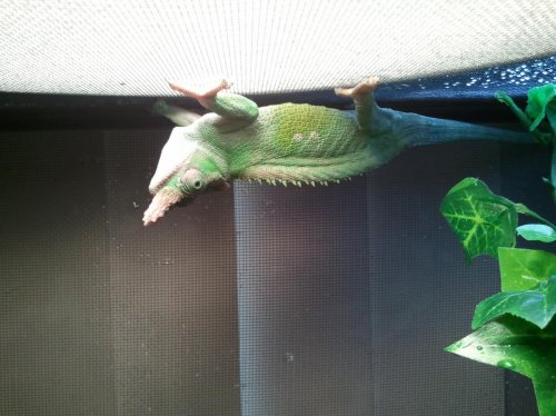 2011-12-15 14.08.28.jpg