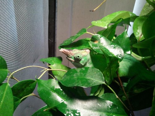 2011-12-15 14.47.58.jpg