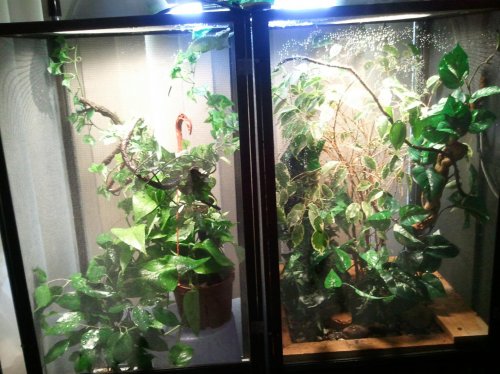 2011-12-15 14.06.14.jpg