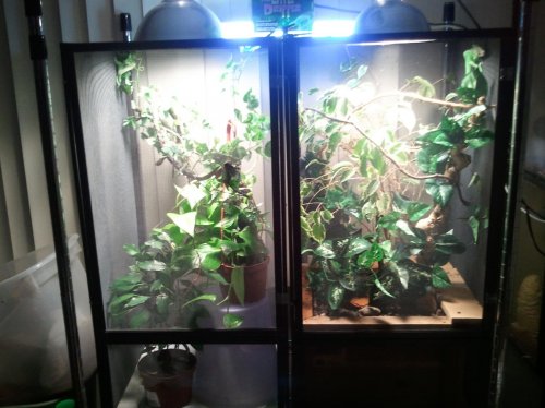 2011-12-16 19.19.05.jpg