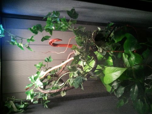 2011-12-16 19.19.36.jpg