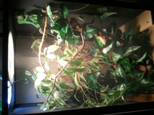 2011-12-16 19.20.03.jpg