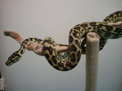 2011-12-17 08.21.38.jpg