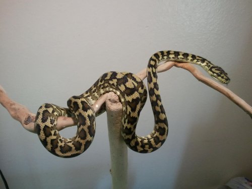 2011-12-17 08.20.32.jpg