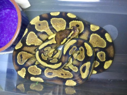 2011-11-09 13.22.35.jpg