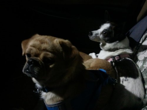 2011-11-17 18.22.27.jpg