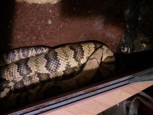 2011-12-17 15.33.50.jpg