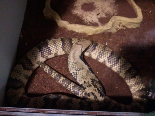 2011-12-17 15.34.27.jpg