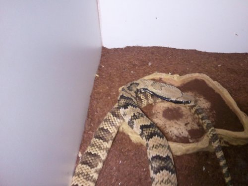 2011-12-17 15.35.53.jpg