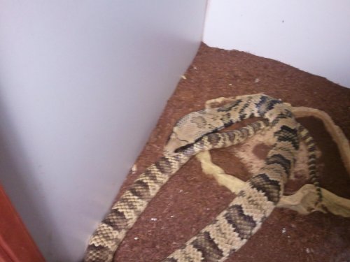 2011-12-17 15.36.46.jpg