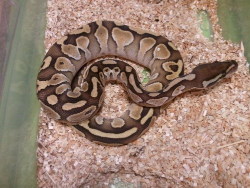 2011-12-18 09.51.08.jpg