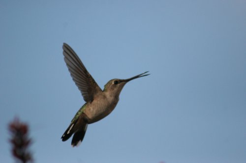 IMG_5616.jpg