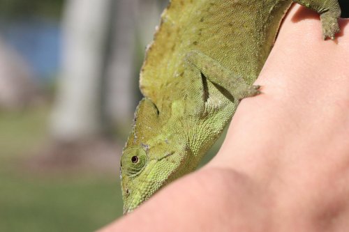 IMG_5633.jpg