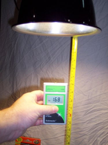 uv1.jpg