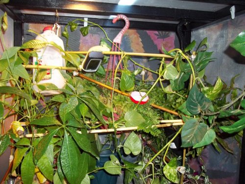 100_0072.jpg