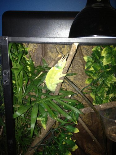 IMG_0020.jpg IMG_0020.jpg