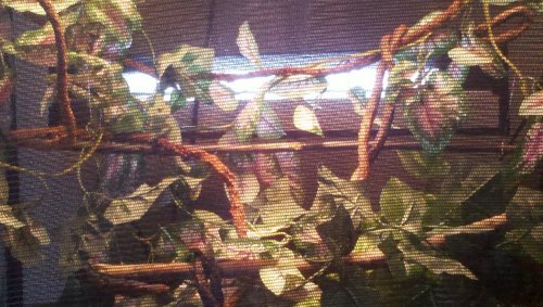 2011-12-28_11-51-14_344.jpg