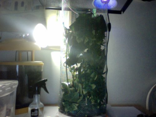 Photo on 2011-12-29 at 16.19.jpg